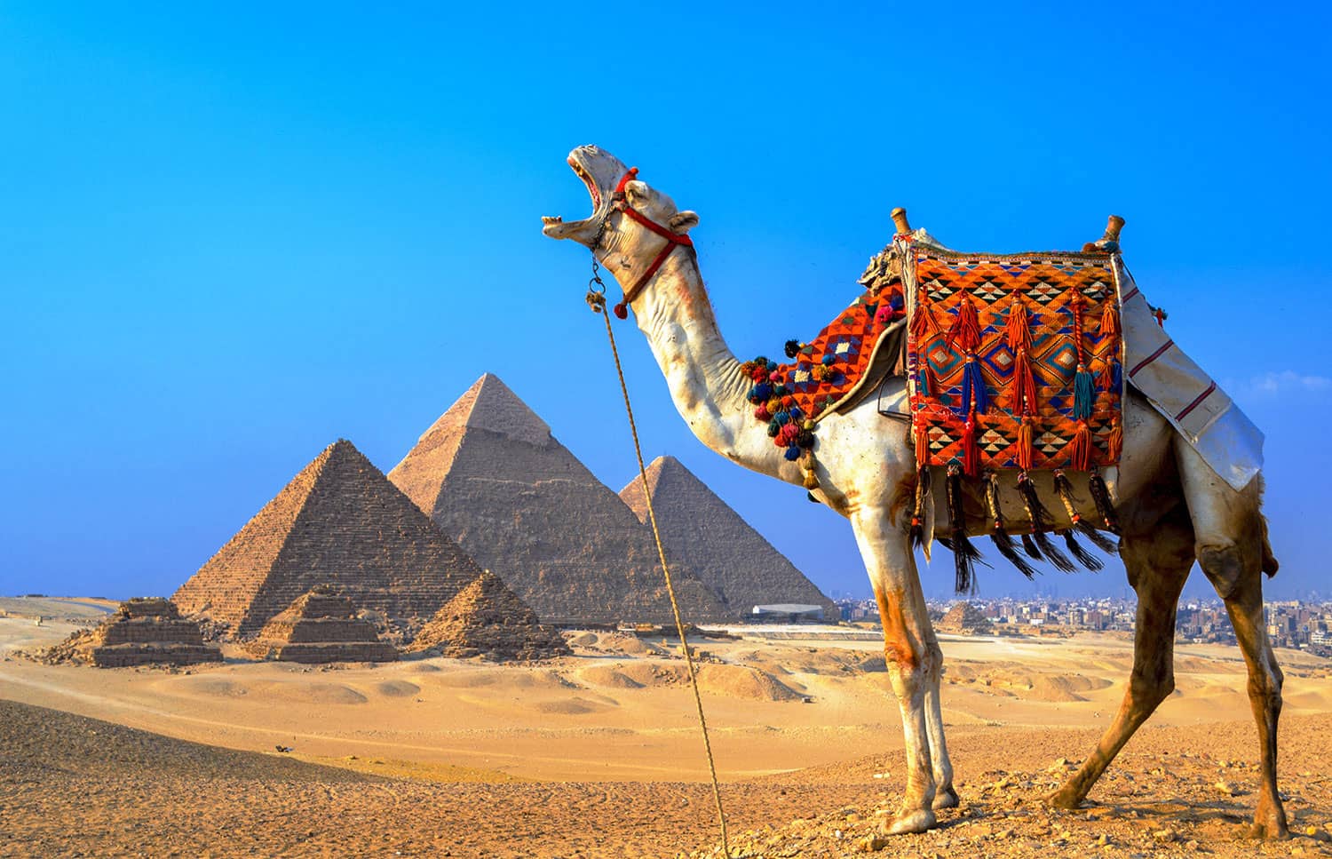 Египет готов к рекорду по приему туристов из России