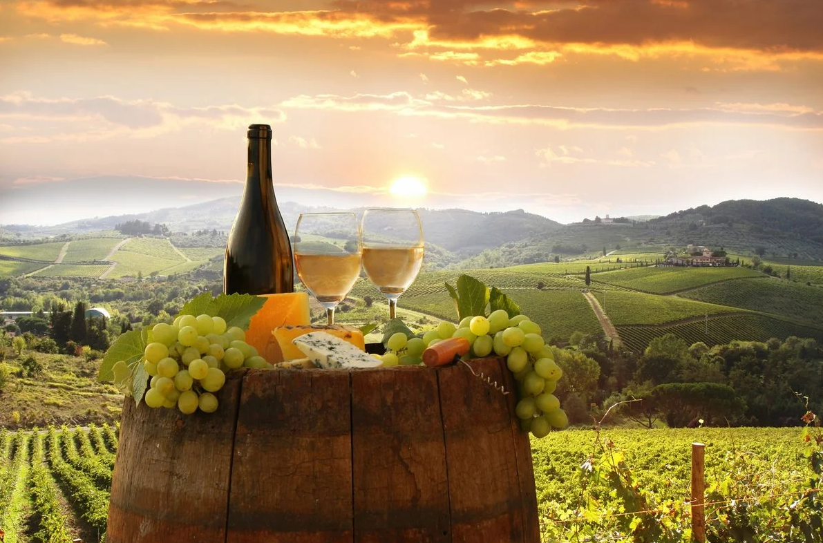 Гастротуры - за вином в Италию
